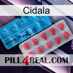 Cidala new14